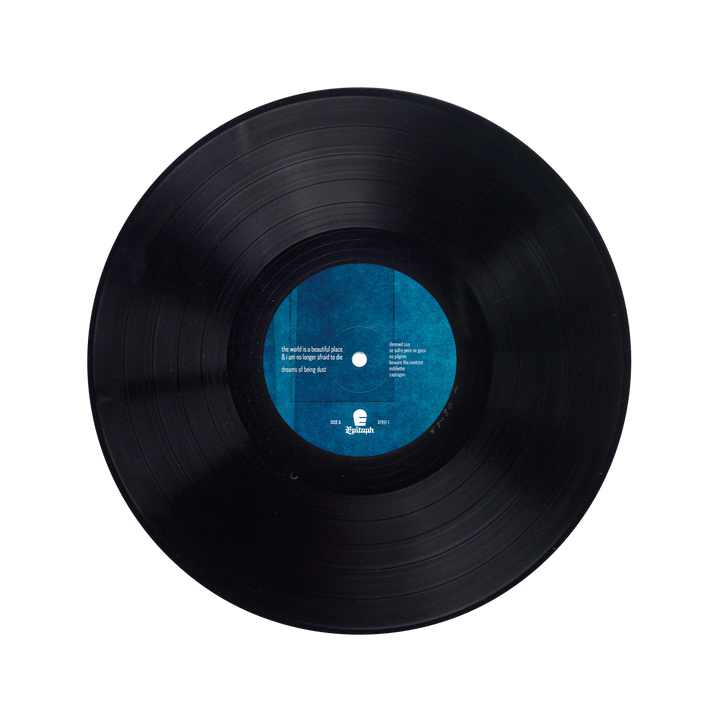Dreams Of Being Dust LP (Black)