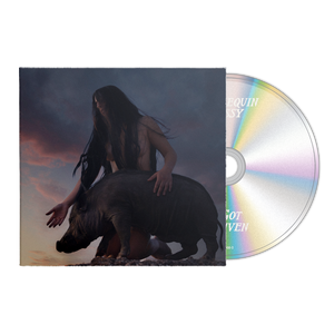 I Got Heaven CD